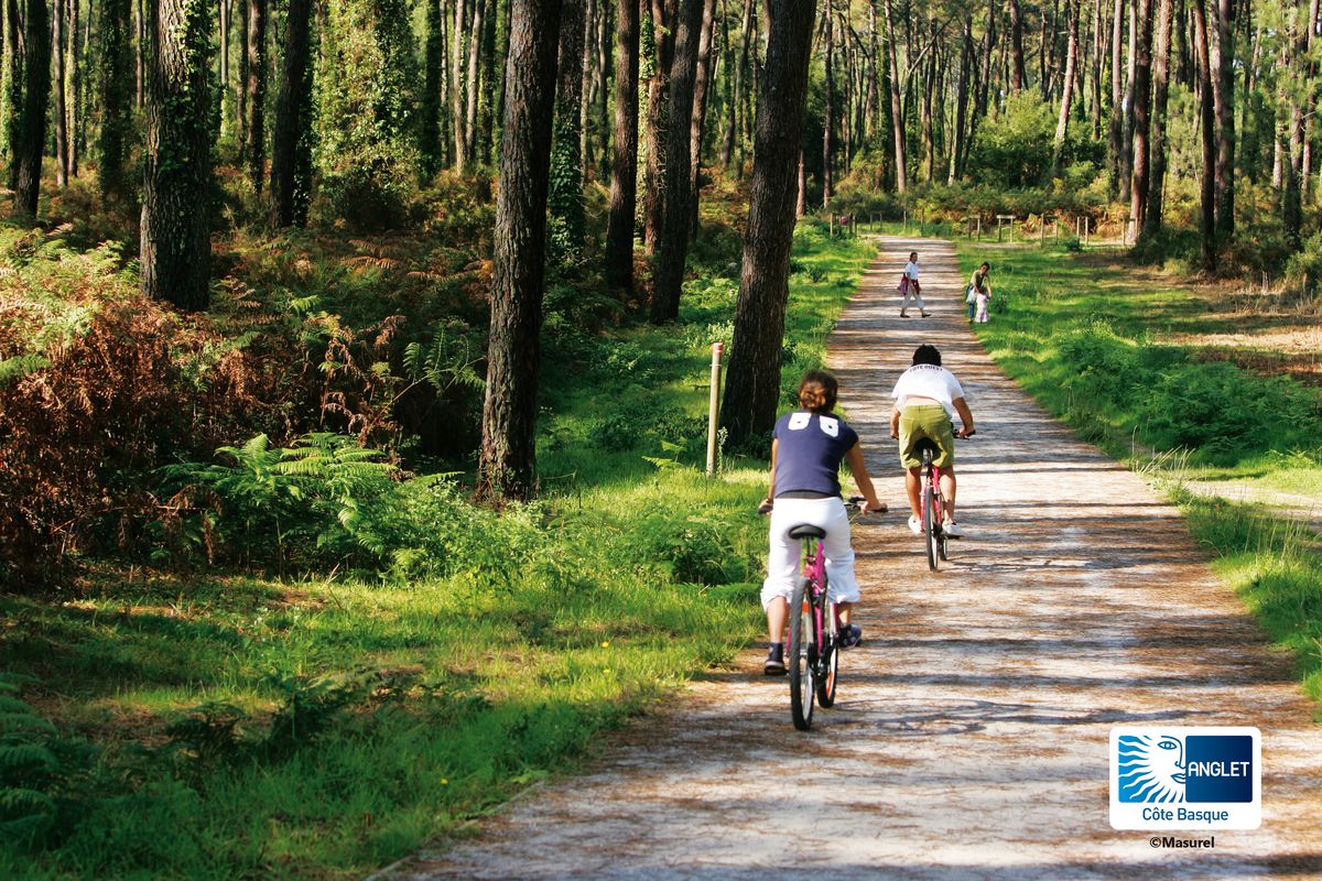 School trips in the Basque Country in Anglet